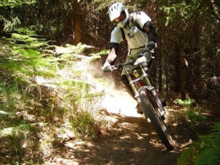  Bike de montaña en el bosque -9999- Cavidad para descubrir 